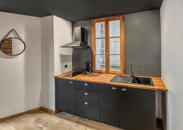 Апартаменты Zen & Jacuzzi - Parenthese De Detente Nouveau! Day Use! Клермон-Ферран