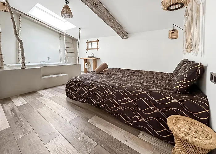 Апартаменты Zen & Jacuzzi - Parenthese De Detente Nouveau! Day Use! Клермон-Ферран