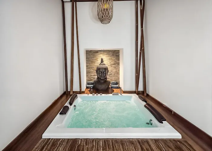 Апартаменты Zen & Jacuzzi - Parenthese De Detente Nouveau! Day Use! Клермон-Ферран